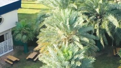 Vacancies at Al Ittihad Private School