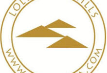 INFORMATION TECHNOLOGY (IT) OFFICER VACANCY ANNOUNCEMENT