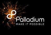 Intern Service Desk Support at Palladium International